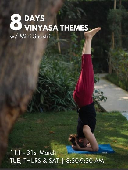 Online Classes: Practice From Anywhere photo 15