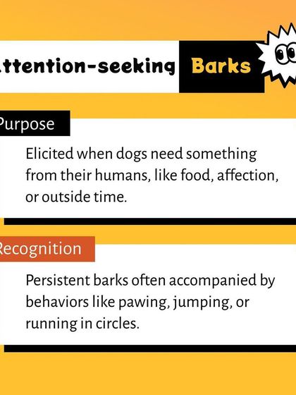 Pethowz - Pet Parent Education Decoding Your Pet's Behavior photo 7