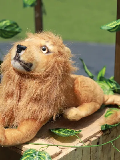 A realistic lion plushie sits among the decorations, making the jungle theme feel even more authentic and exciting for the little explorers.