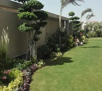 This garden features beautifully sculpted topiary trees along a wall, set against a perfect lawn. The stone path provides a clean edge and walkway.