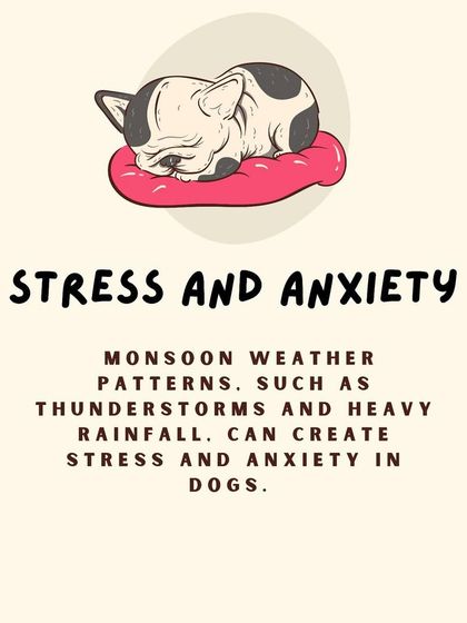 Furever Safe - Pet Training Pet Parent Knowledge Hub photo 12