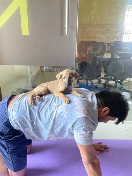 Sreya Bhar - Yoga Classes (Online & In-Person) Specialty Yoga: Partner, Kids & Prenatal photo 18