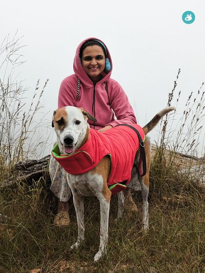 The Pack - Pet-Friendly Adventures & Meetups Guided Treks & Nature Hikes photo 9