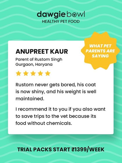 This review from Gurgaon is wonderful. I am happy to know Rustom never gets bored, his coat is shiny, his weight is maintained, and my chemical-free food helps save trips to the vet.