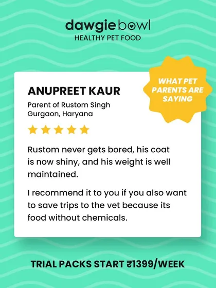 This review from Gurgaon is wonderful. I am happy to know Rustom never gets bored, his coat is shiny, his weight is maintained, and my chemical-free food helps save trips to the vet.