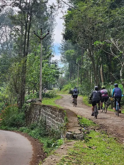 A group rides through a winding, forested path in Yercaud. We take you on routes that are scenic, traffic-free, and full of adventure.