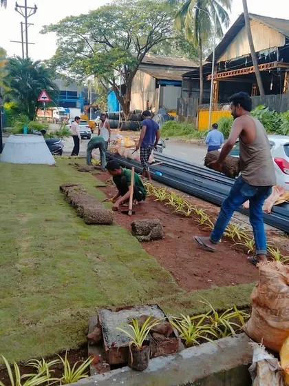 Laying down fresh sod is a key part of many landscape projects. Our team works carefully to ensure the turf sections are tightly joined for a uniform appearance as the lawn establishes itself.