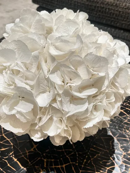 Crisp, chic, and charming. A simple, perfect sphere of white hydrangeas in a crystal vase, placed on a textured table. It's a testament to the power of monochromatic simplicity and a single, perfect bloom.