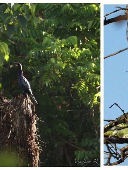 Monks On Wheels - Educational Programs & Excursions Wildlife & Nature Immersion photo 3