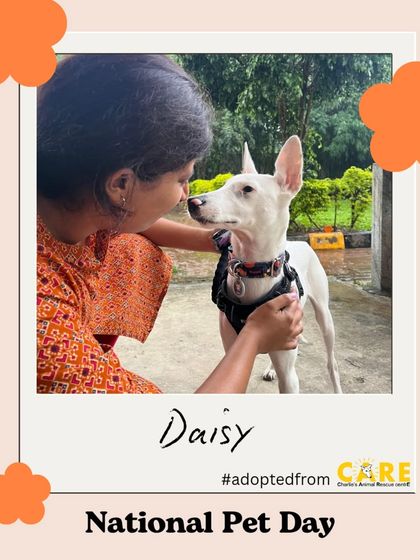 Charlie's Animal Rescue Centre - Animal Rescue & Adoption Happy Tails: Our Adoption Stories photo 28