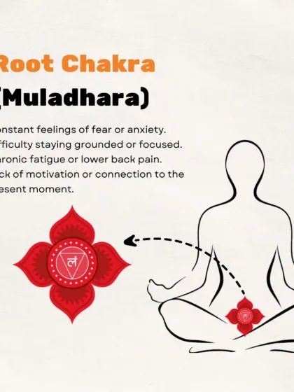 This graphic details the signs of an imbalanced Root Chakra (Muladhara), such as feelings of fear, anxiety, or a lack of motivation.