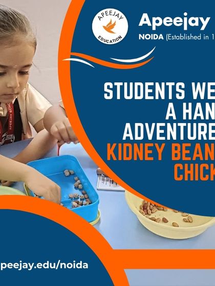 Our nursery students went on a hands-on adventure with kidney beans and chickpeas, learning to sort and group them by size, shape, and color.