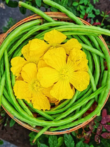There's so much beauty in a harvest. I love arranging my freshly picked cowpea beans with some bright yellow gourd flowers from the garden. It’s art you can eat.