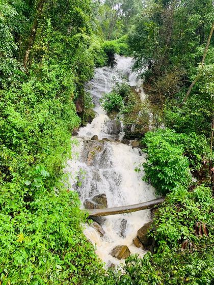 A small, charming waterfall encountered on the way to Bheemeshwara, showing the beauty of the Sharavathi Valley.