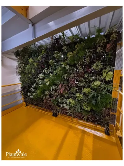 We installed this large artificial green wall in a commercial building. The vibrant green provides a powerful natural contrast to the industrial elements like the corrugated metal ceiling and bright yellow floor.