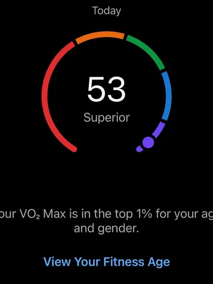 A VO2 Max of 53, placing me in the top 1%. This is a powerful motivator and a confirmation of my fitness level.