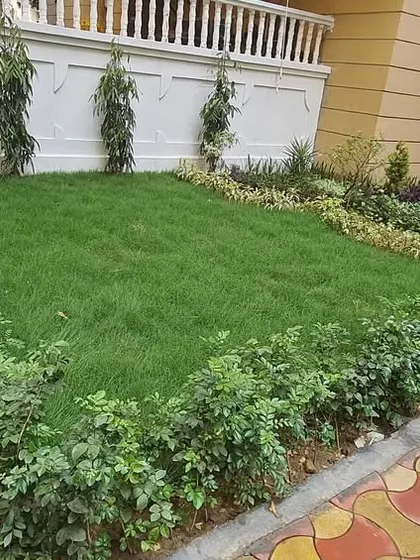 A neat residential garden featuring a small lawn bordered by hedges and a colorful interlocking paver pathway.