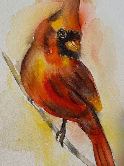 A delicate watercolor painting of a cardinal. This piece showcases the soft strokes and rich hues that make watercolor such an elegant medium for capturing nature.