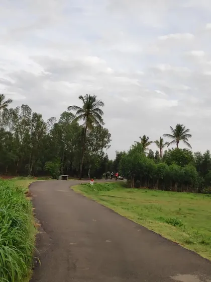 A peaceful, empty road winds through green fields and forests near Nandi. We pride ourselves on finding these traffic-free gems.