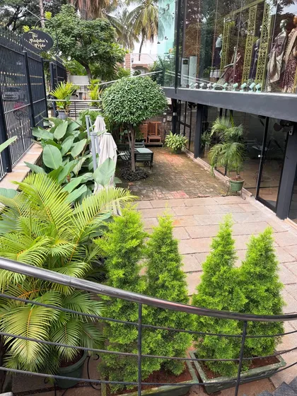 A high-angle view of the courtyard at Sweet Smith, showing the beautiful growth after months of our maintenance. The space has become a true urban garden, lush and inviting.
