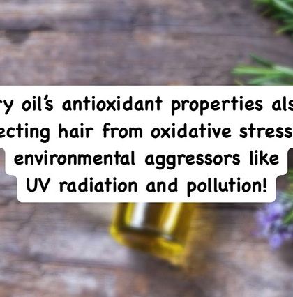As an antioxidant, rosemary oil helps protect the hair and scalp from oxidative stress caused by environmental aggressors like UV radiation and pollution.