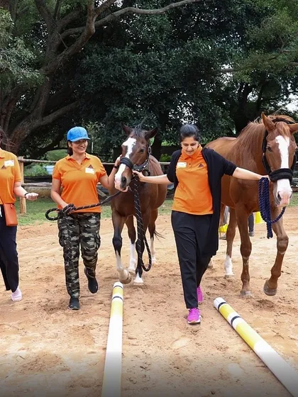 Team members from Embassy Group lead our gentle foals through an obstacle course. This activity fosters teamwork, patience, and empathy in a fun and engaging way.
