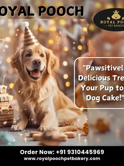 Treat your pup to a pawsitively delicious dog cake. My cakes are made with love and care to ensure your pet is both happy and healthy.