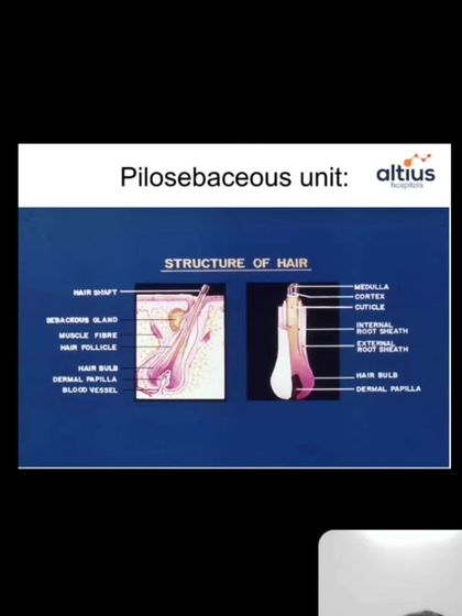During the webinar, I explained the science behind skin and hair health, such as the structure of the pilosebaceous unit, which is key to understanding conditions like acne.