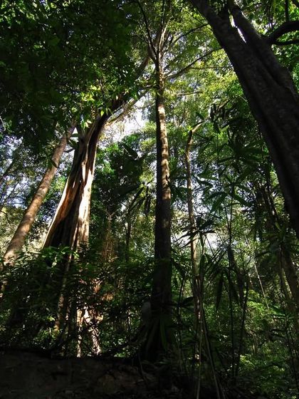 India's Wild Tapestry: Landscapes & Habitats photo 9