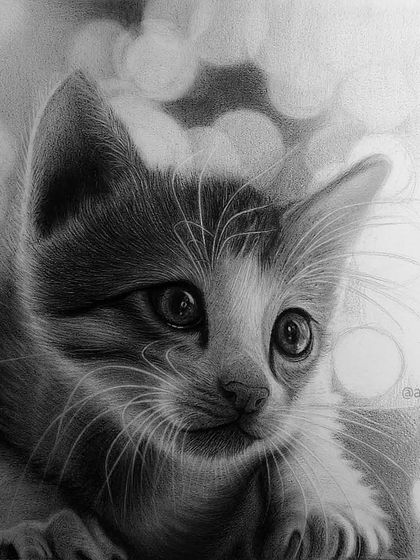 Another in-progress image, with the background bokeh effect starting to take shape around the kitten.