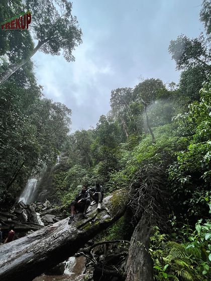 Trekkers resting on a fallen log in the dense jungle of the Kodachadri trek, with a waterfall in the background.