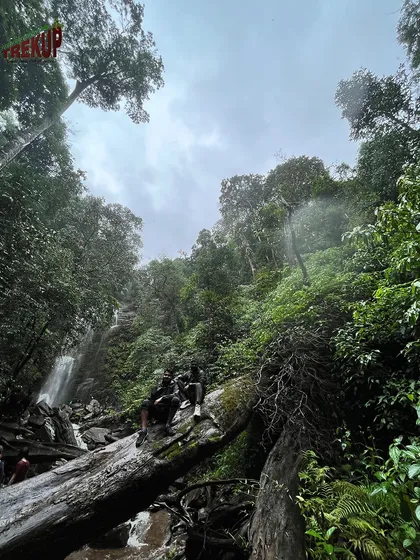 Trekkers enjoying the view from a fallen log near a waterfall on the Kodachadri trail.
