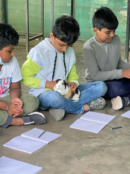 Siksha Montessori - Montessori Elementary School Program (Ages 6+) Exploring Our World: Science & Nature photo 18