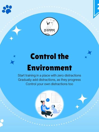 Tip 2: Control the Environment. Set your dog up for success by starting in a quiet place with zero distractions. You can gradually add challenges as they learn.