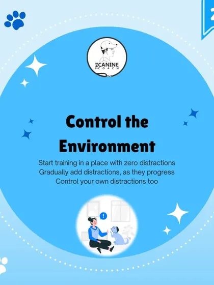 Next, you must control the environment. Start training in a place with zero distractions and only add more as your dog progresses. This sets them up for success.
