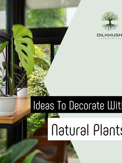 A Monstera Deliciosa placed on a custom wooden shelf. This is an example of how we use shelving and strategic placement to incorporate plants into a home's architecture, even in smaller spaces.