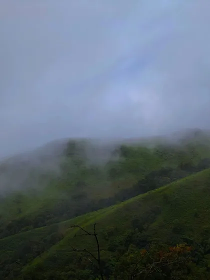 The fog rolling over the vibrant green hills of Netravathi, creating a stunning and dynamic landscape.