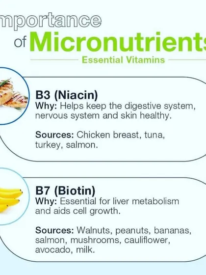 An explanation of the roles of Vitamin B3 and B7 in the body.