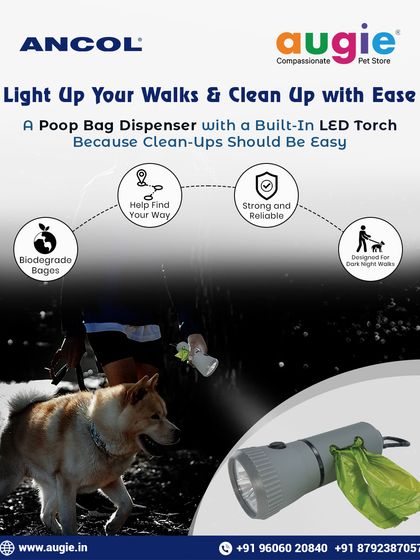 Augie Pets - Pet Supplies Adventure-Ready Gear for Every Outing photo 11