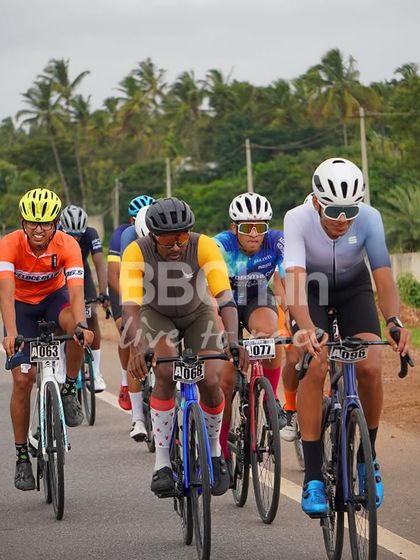A colorful peloton cruises along a tree-lined road. The camaraderie and shared passion for cycling are evident in every race.