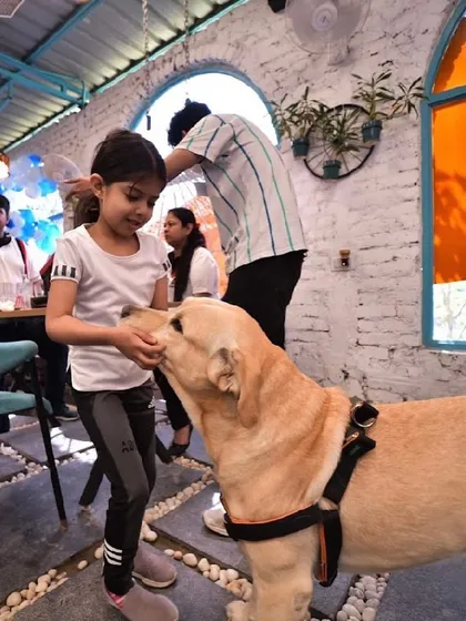 A little girl gently feeding one of our Labradors. These moments of trust and kindness are what our cafe is all about.
