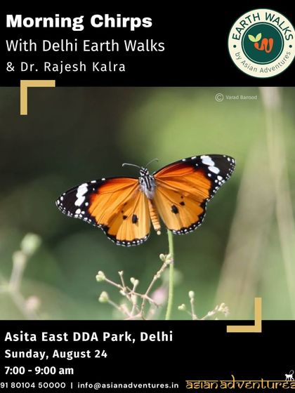 Butterfly & Insect Encounters photo 9