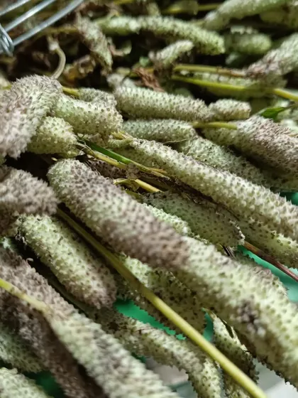 A close-up of the dried flower stalks. These are used to add a subtle, aromatic flavor to soups and stews.