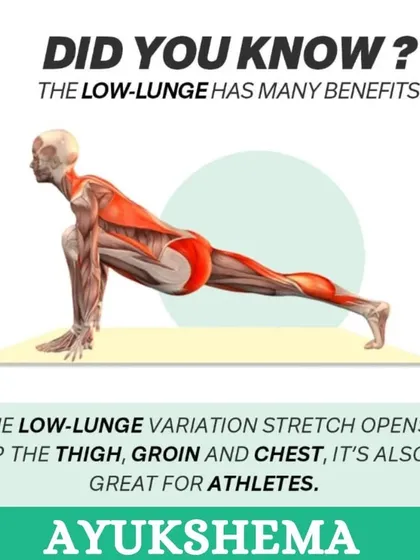 An anatomical illustration of the Low Lunge, showing the muscles being stretched in the thigh and groin area.