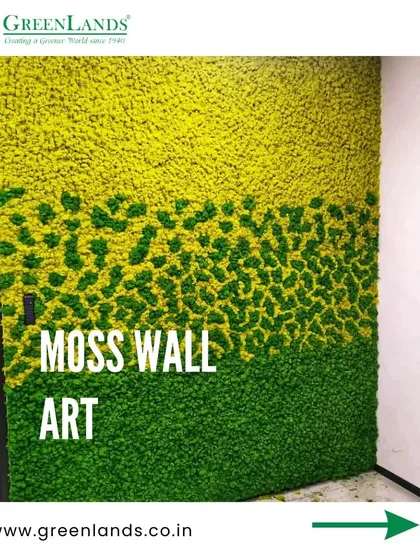 A close-up of our moss wall art. This piece features a gradient of light and dark green moss with a unique, organic pattern, showcasing the artistic and textural possibilities of this medium.