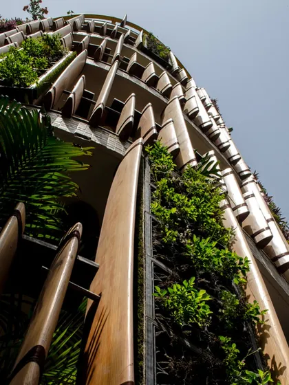 Another perspective of the Outré House's unique facade, where the lush greenery of the integrated planters contrasts with the warm tones of the wooden elements.