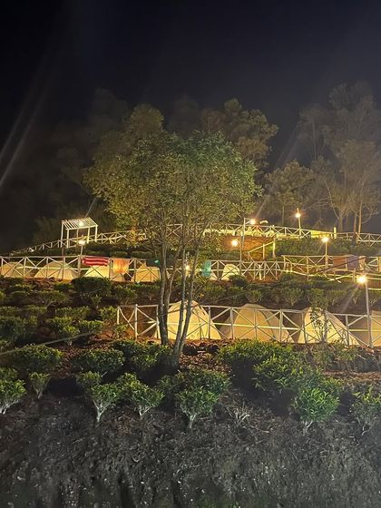 Our campsite in Munnar, beautifully lit up at night. We stay in comfortable tents nestled right in the tea gardens.