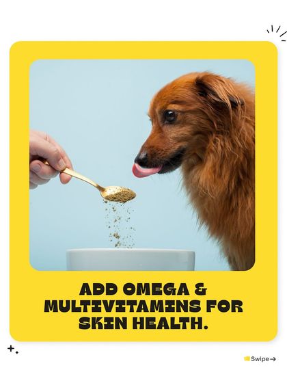 Pet Warehouse - Pet Supplies Expert Pet Care & Wellness Tips photo 4