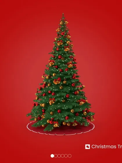 A beautiful Christmas tree is the centerpiece of your celebration. After the holidays, instead of trying to fit it in a closet, let me store it safely for you.