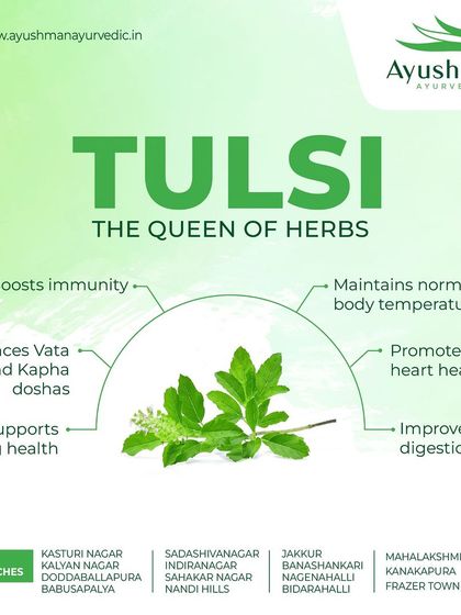 Meet Tulsi, the "Queen of Herbs." This graphic illustrates the many benefits of this sacred plant, including its ability to boost immunity, support lung health, improve digestion, and balance Vata and Kapha doshas.